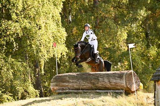  | 28092025 Gelände Intro _540 