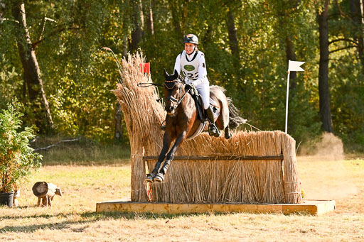  | 28092025 Gelände Intro _542 