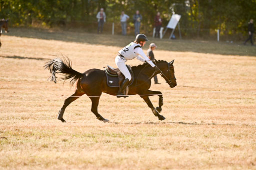  | 28092025 Gelände Intro _550 