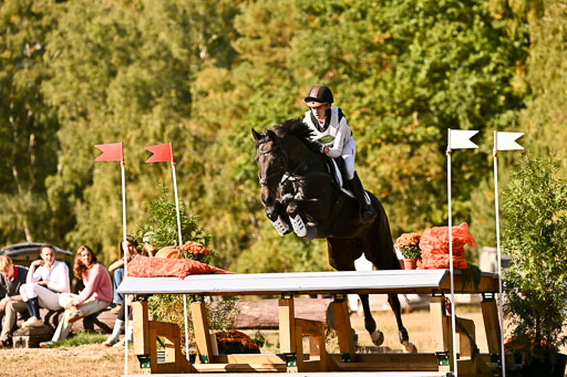  | 28092025 Gelände Intro _595 