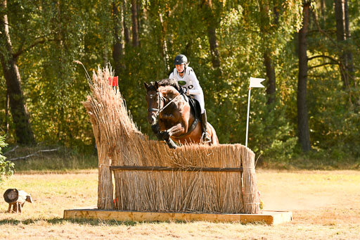  | 28092025 Gelände Intro _600 