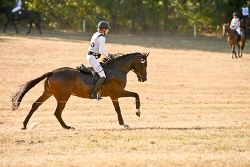  | 28092025 Gelände Intro _608 