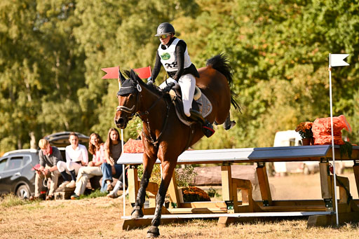  | 28092025 Gelände Intro _650 