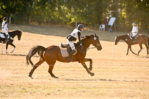  | 28092025 Gelände Intro _654 