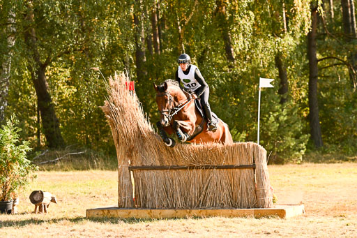  | 28092025 Gelände Intro _659 