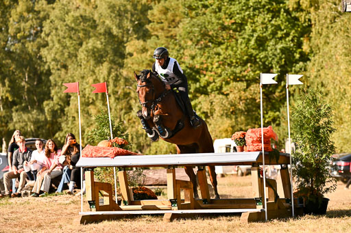  | 28092025 Gelände Intro _660 