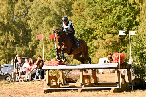  | 28092025 Gelände Intro _661 