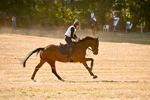  | 28092025 Gelände Intro _662 