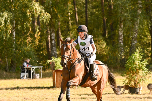  | 28092025 Gelände Intro _666 