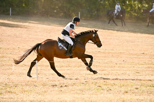  | 28092025 Gelände Intro _671 