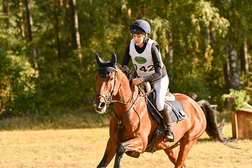  | 28092025 Gelände Intro _676 