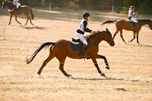  | 28092025 Gelände Intro _681 