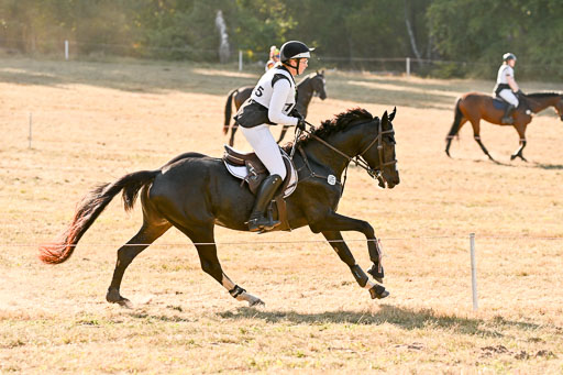  | 28092025 Gelände Intro _698 