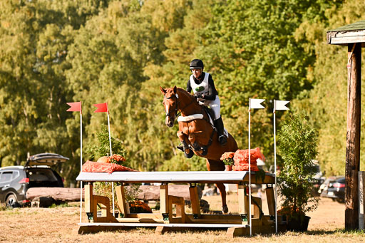  | 28092025 Gelände Intro _705 