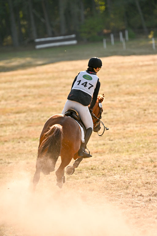  | 28092025 Gelände Intro _707 