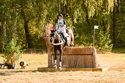  | 28092025 Gelände Intro _728 