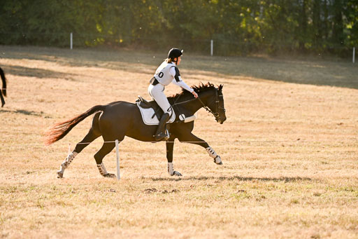  | 28092025 Gelände Intro _734 