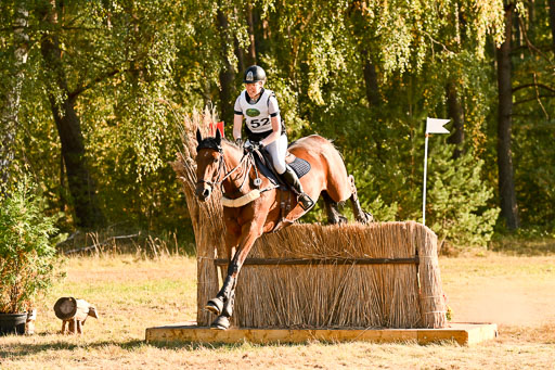  | 28092025 Gelände Intro _737 