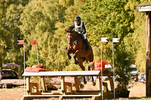  | 28092025 Gelände Intro _747 