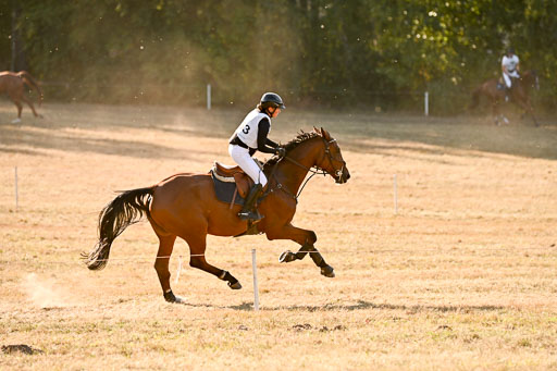  | 28092025 Gelände Intro _750 