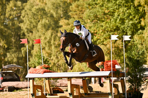  | 28092025 Gelände Intro _758 