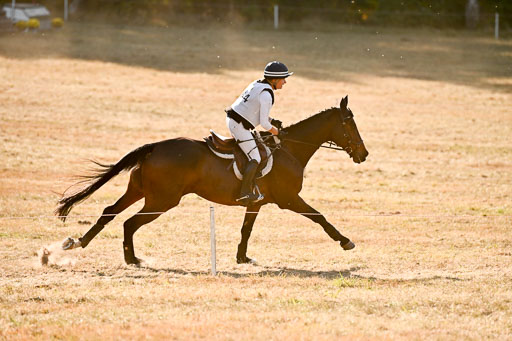  | 28092025 Gelände Intro _761 