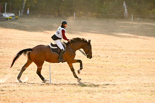  | 28092025 Gelände Intro _791 