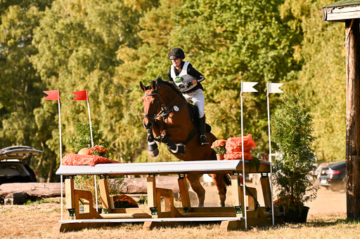  | 28092025 Gelände Intro _797 