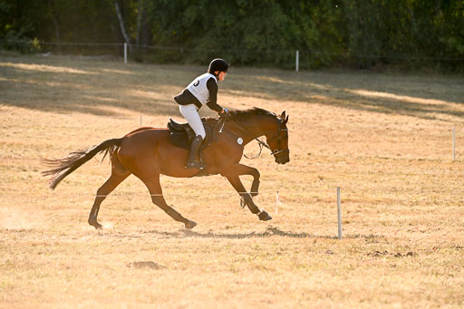  | 28092025 Gelände Intro _800 