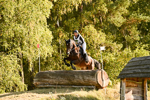  | 28092025 Gelände Intro _818 