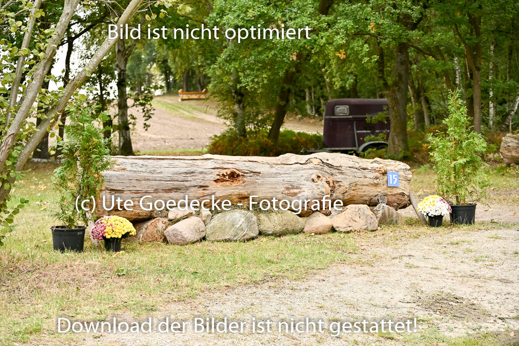  | 28092025 Impressionen _07 