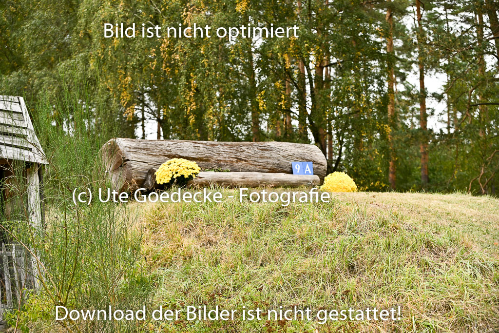  | 28092025 Impressionen _15 
