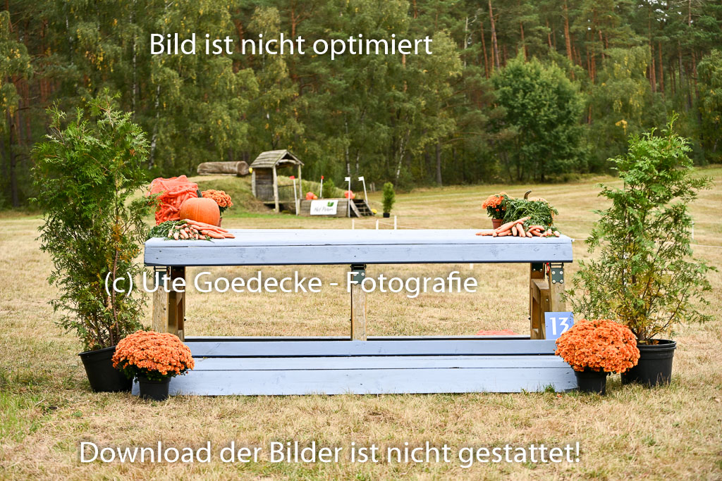  | 28092025 Impressionen _19 