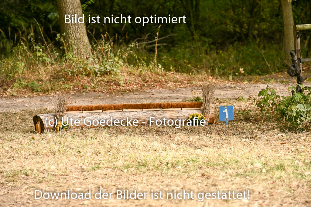  | 28092025 Impressionen _32 