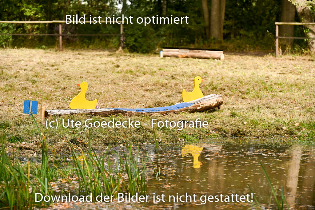  | 28092025 Impressionen _35 