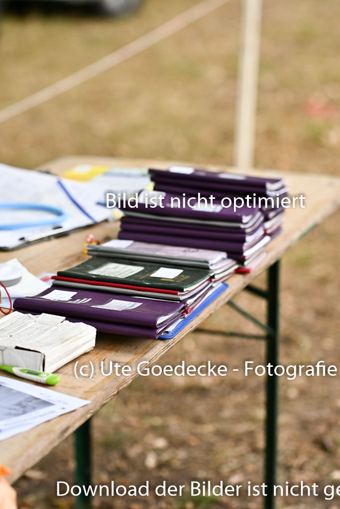  | 28092025 Impressionen _40 