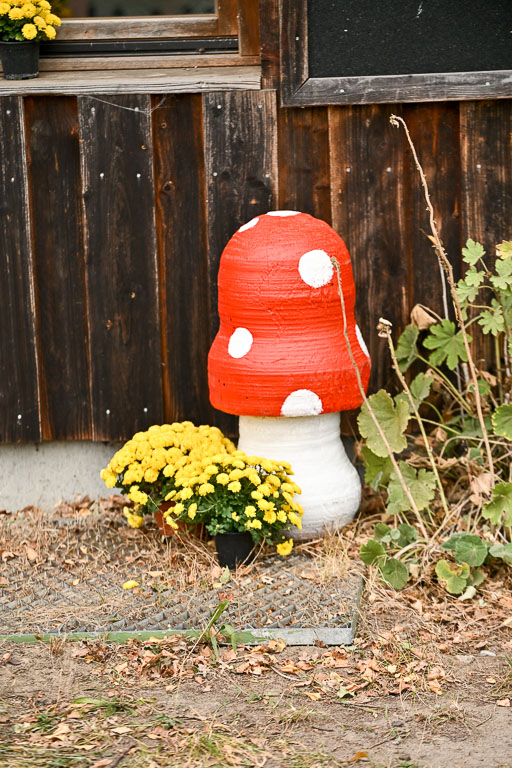  | 28092025 Impressionen 