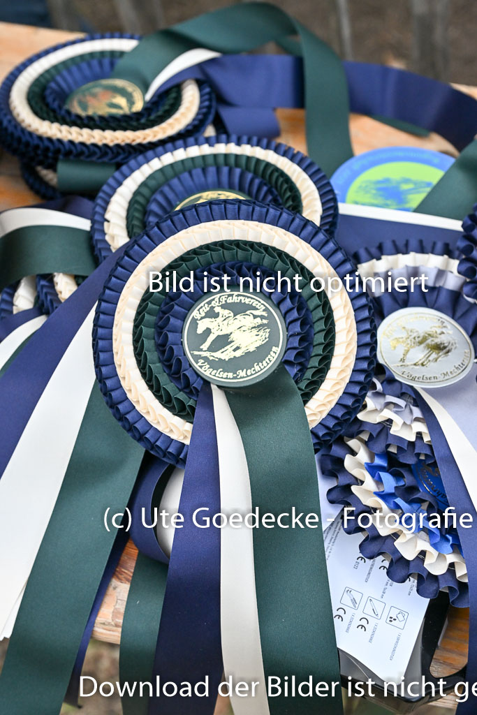  | 27092025 Siegerehrung CCIDSC_8624DSC_8624 