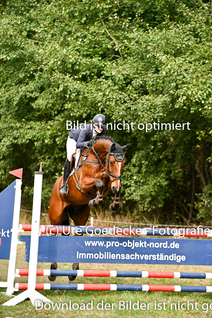  | 27092025 Springen CCI++ _11 