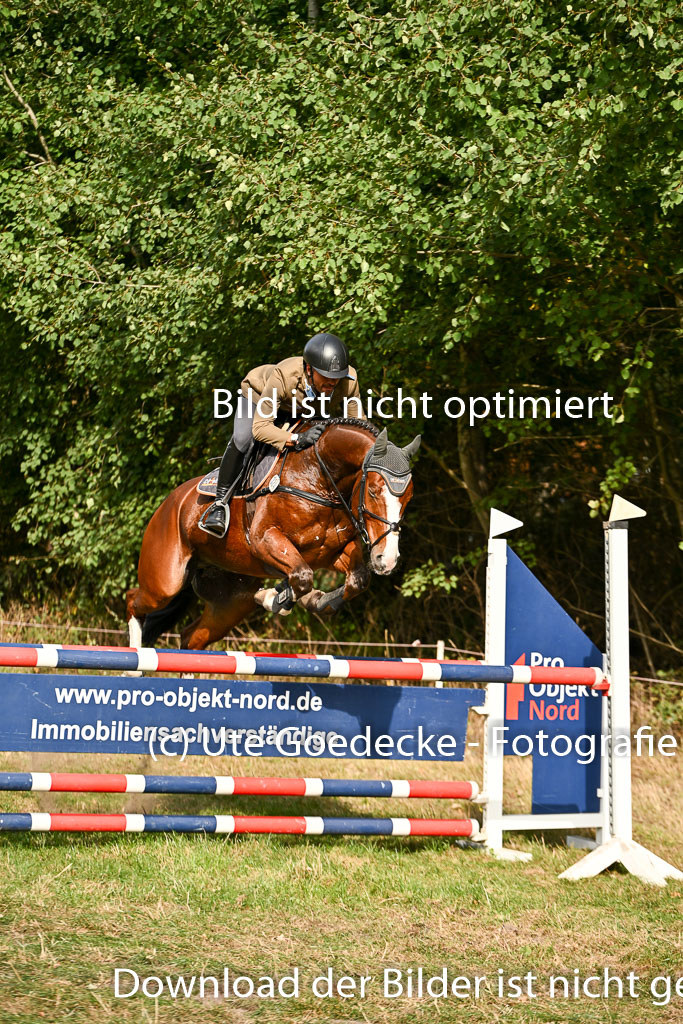  | 27092025 Springen CCI++ _15 