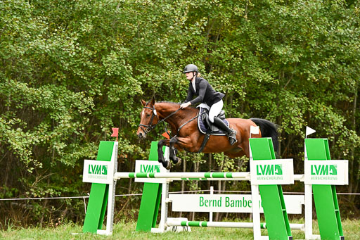 Springen CCI **