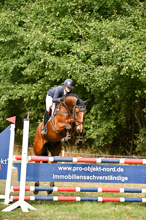  | 27092025 Springen CCI++ _11 