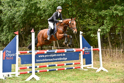  | 27092025 Springen CCI++ 