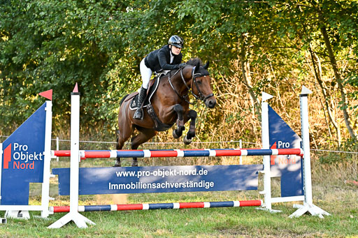  | 28092025 Springen Intro _002 