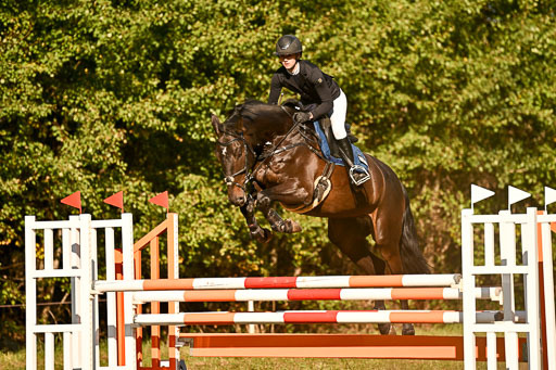  | 28092025 Springen Intro _119 