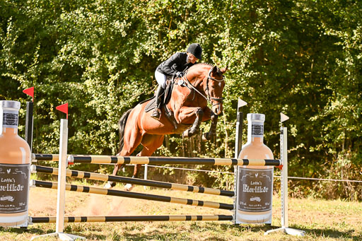  | 28092025 Springen Intro _190 