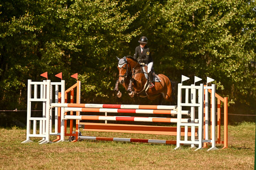  | 28092025 Springen Intro _230 