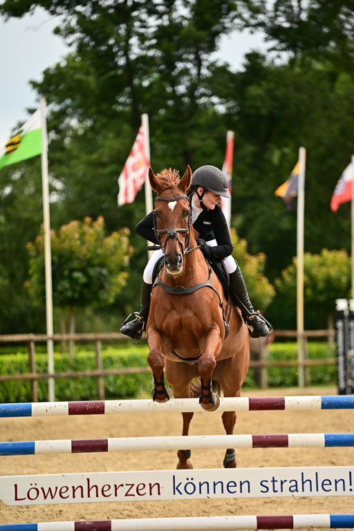  | 05072025 Springen A++_097 