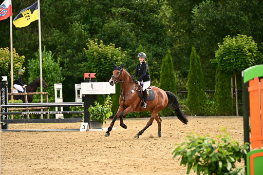  | 05072025 Springen A++_131 