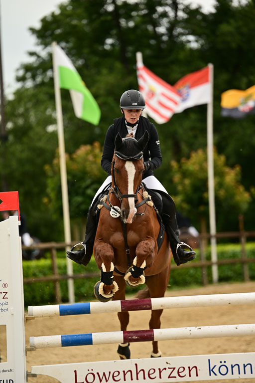  | 05072025 Springen A++_496 